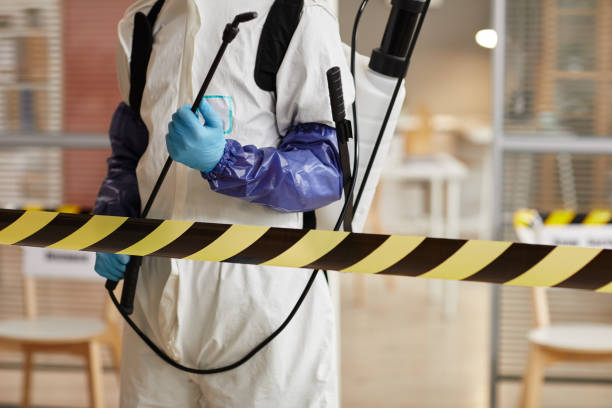 Professional Sewage Cleanup technician working in Huffman, TX